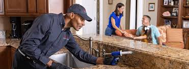 Professional Pest Control in St George, UT