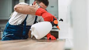 Best Pest Prevention Services  in St George, UT